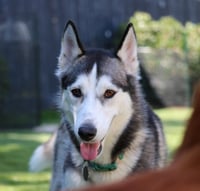 Asha  **Courtesy Listing** - Photo 1