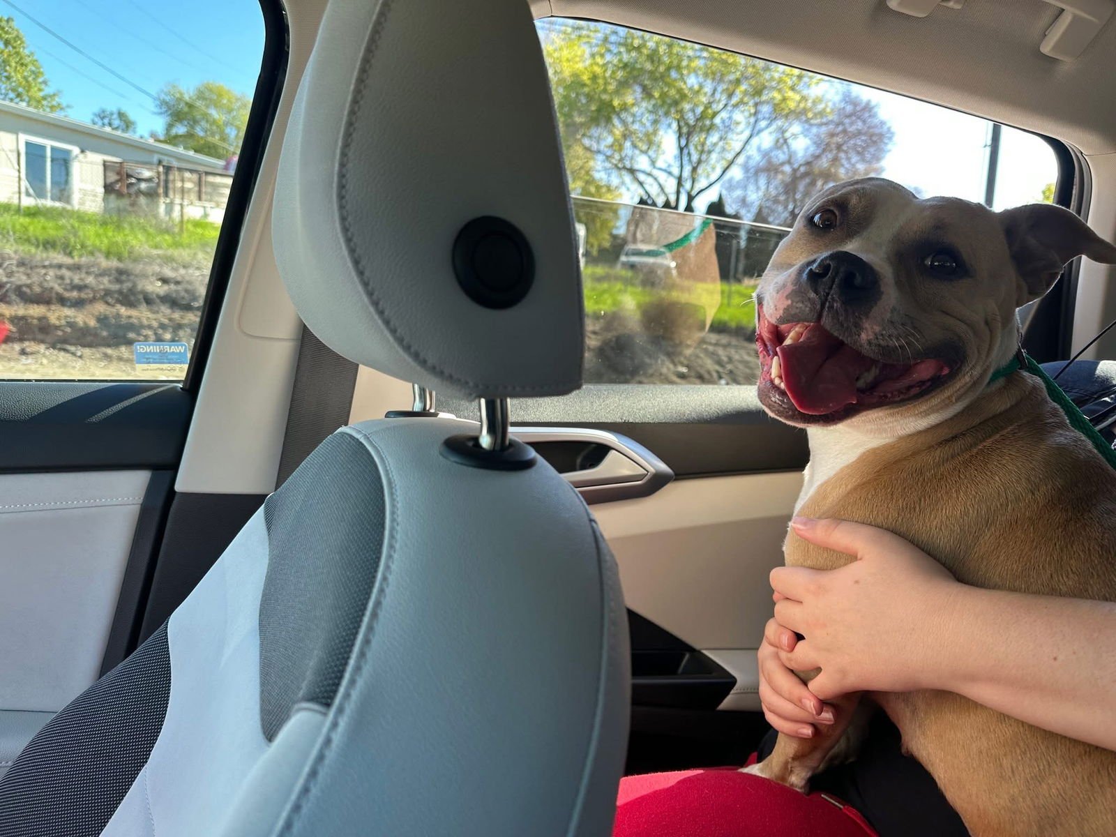 Honey Bear - Photo 5