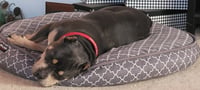 Brownie - Photo 5
