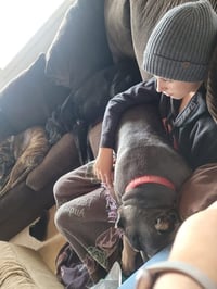Brownie - Photo 13