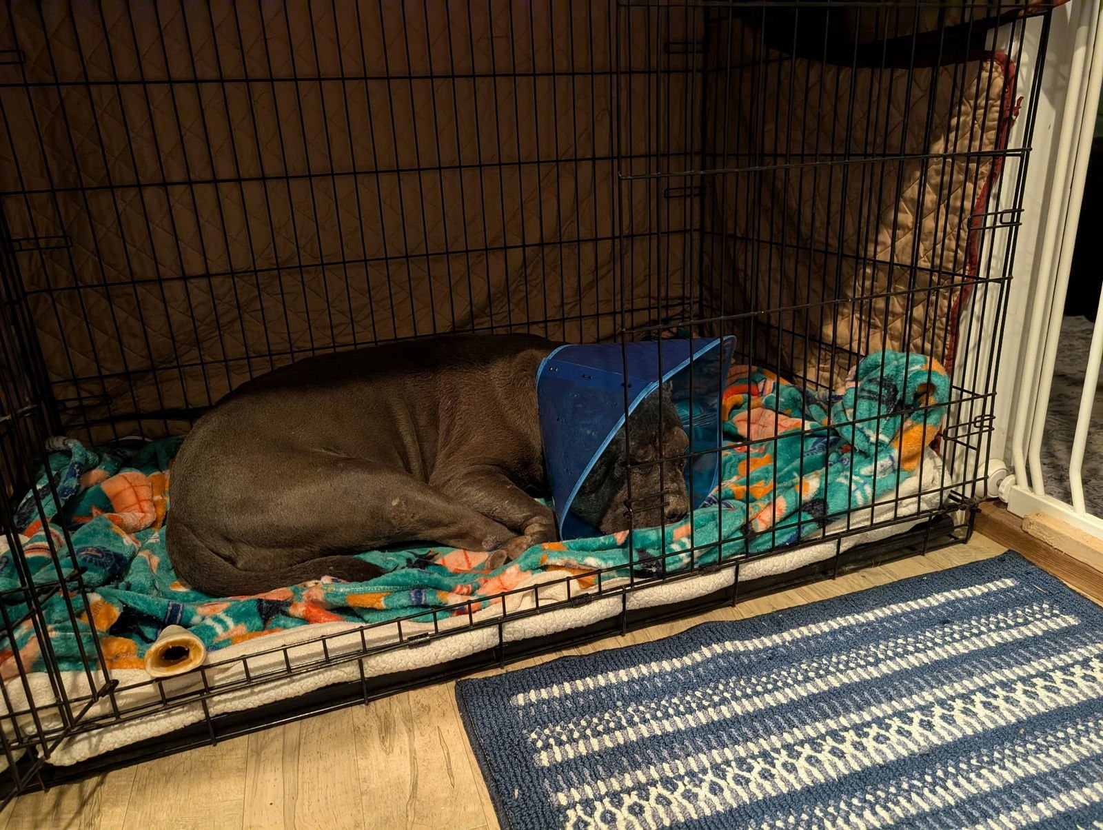 Drax aka Thor - Photo 5