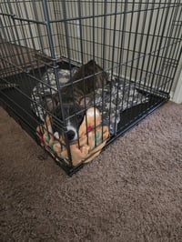 Link - Photo 9
