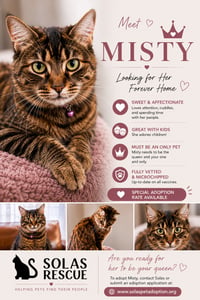 Misty - Photo 2