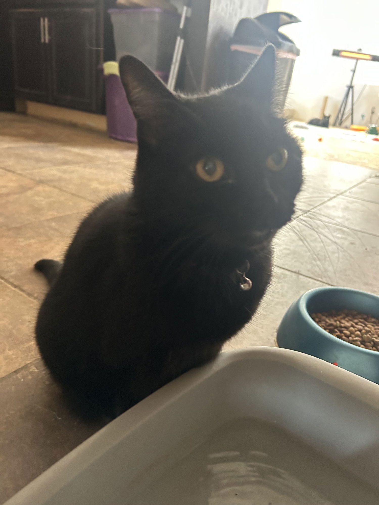 Princess - TV - Photo 3