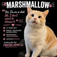 Marshmallow - Photo 1