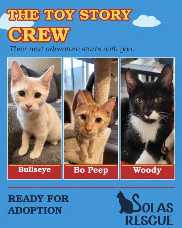 Bo Peep, Bullseye and Woody Image