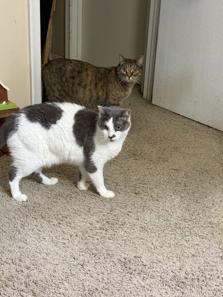 Cleo and Charlie Image
