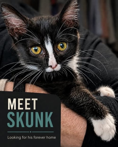 SKUNK- SR