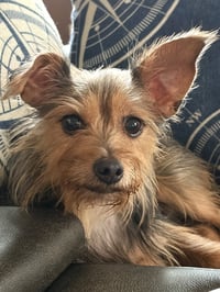 Cookie Hadley - Photo 1