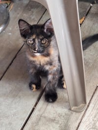 Callie C Reams - Photo 6