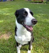 Sophie Pepper - Photo 4