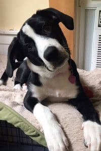 Sophie Pepper - Photo 5