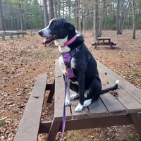 Sophie Pepper - Photo 3