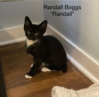 Randall Boggs C Weaver - Photo 1