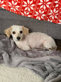 Bailey OS Slavin - Photo 2