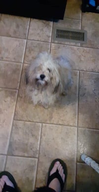 Bailey OS Slavin - Photo 3