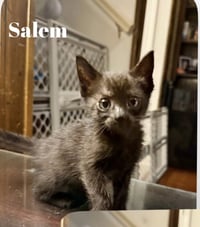 Salem C Gatlin - Photo 1