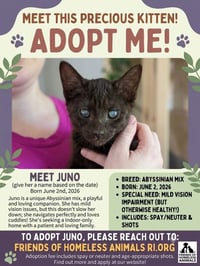 Juno C OS Nelson - Photo 1