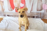 Layne Louise - Photo 10