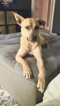 Layne Louise - Photo 13