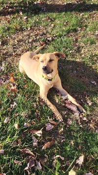 Layne Louise - Photo 15