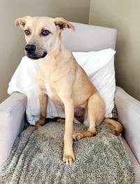 Layne Louise - Photo 14
