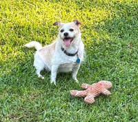 Gizmo Clark - Photo 1