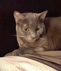 Leah C White - Photo 1