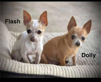 Dolly Gatlin - Photo 4