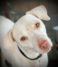 Paisley Moore - Photo 1