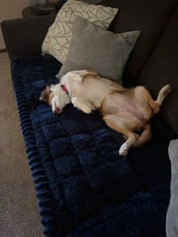 Hannah - Photo 3