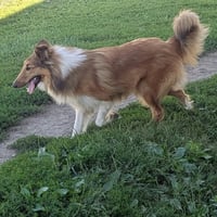 Lexi - Photo 2