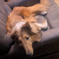 Lexi - Photo 3