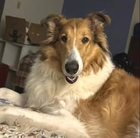 Daisy - Photo 2