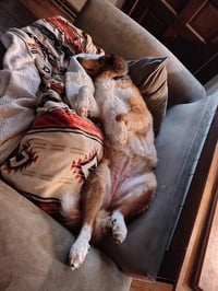 Lulu - Photo 2