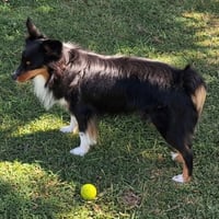 Smudge - Photo 3