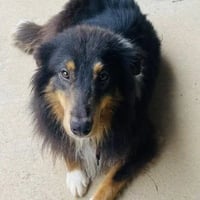 Bert - Photo 2