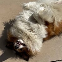 Sadie Grace - Photo 3