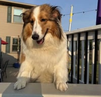 Sadie Grace - Photo 1