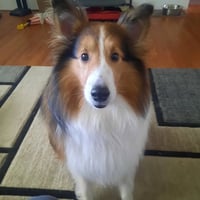 Hunter - Photo 1