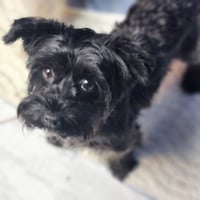 Hallie - Photo 1