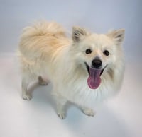 Thaddeus - Photo 3