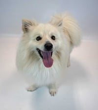 Thaddeus - Photo 4