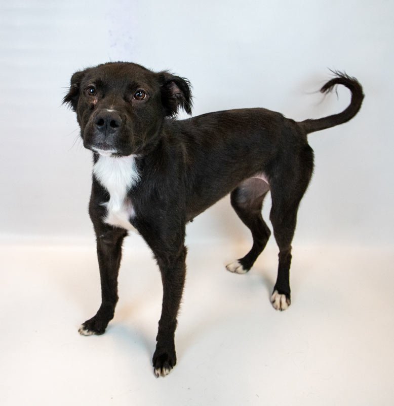 Holly Hobby - Photo 3