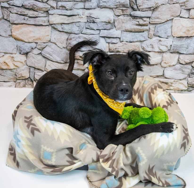 Holly Hobby - Photo 4