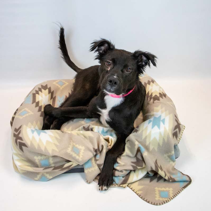 Holly Hobby - Photo 6