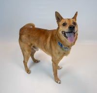 Conan - Photo 3