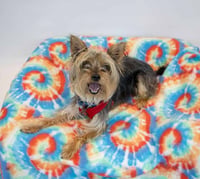 Cassius - Photo 4