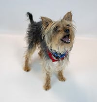 Cassius - Photo 5