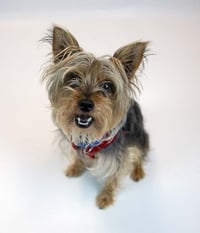 Cassius - Photo 6